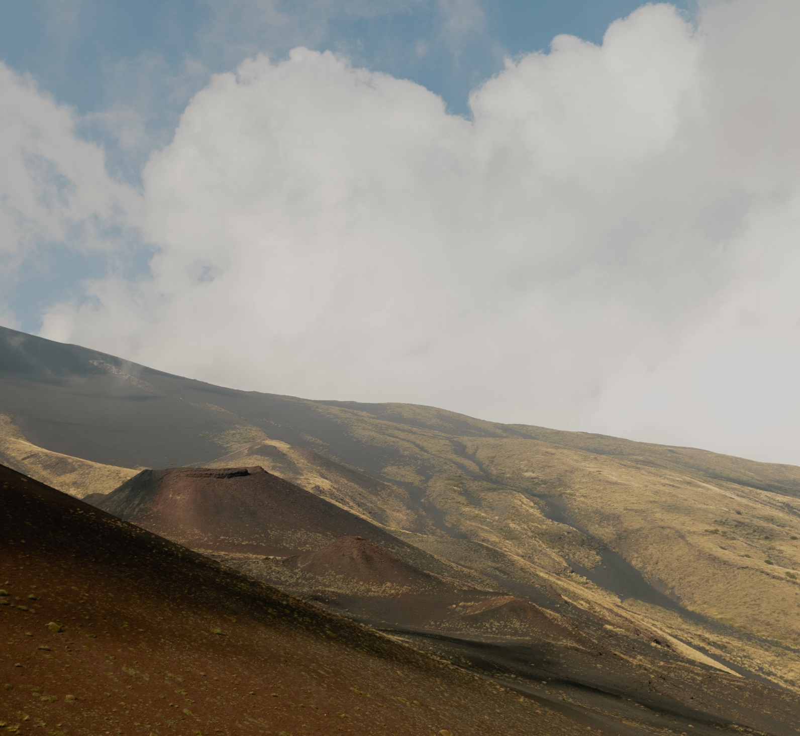 Soft mountain valley with wildflowers